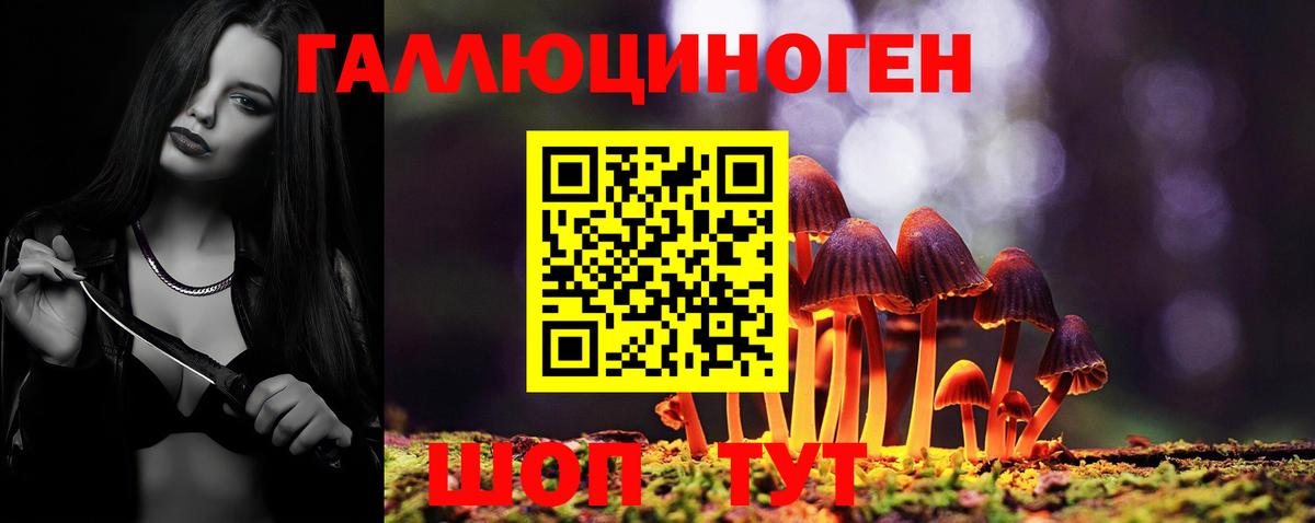 Псилоцибиновые грибы Psilocybe  Вход с VPN  Галлюциногенные грибы Cubensis  Ступино 